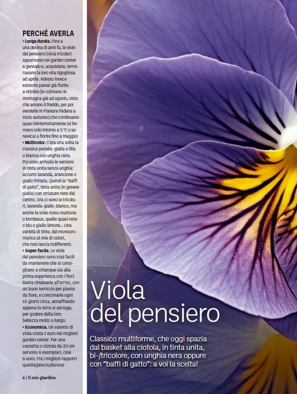 il mio Giar Feb-Mar 2024 (1)