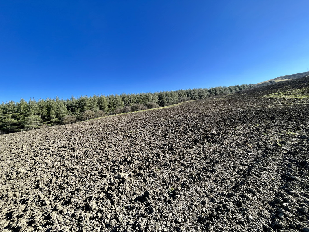 6AB532F6-1F20-4ECF-AE68-3A11C701155A