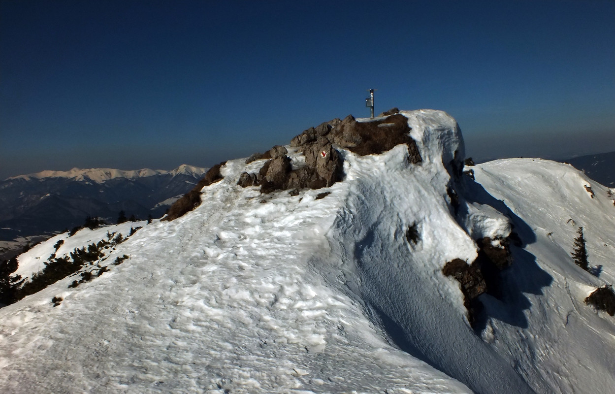 2019_0228WIELKI_CHOCZ0113