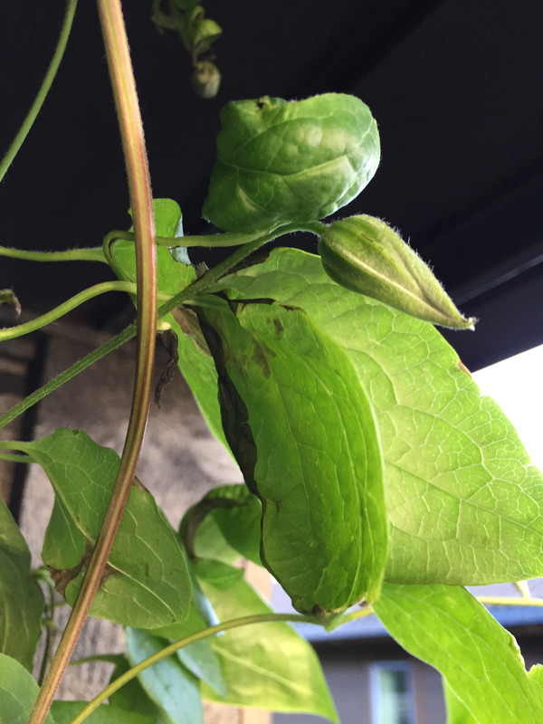 56EA5041-2020-4622-8C5F-39AEA563926B