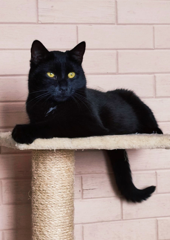 nj1IfjUL8ydIFJwtAColZ7O2kXVB3ZmNc15oj6qmB6FfUgL3EC21qzvYOuXFWpFjXU79KDjHC-dlFKxWOBOeZlCf