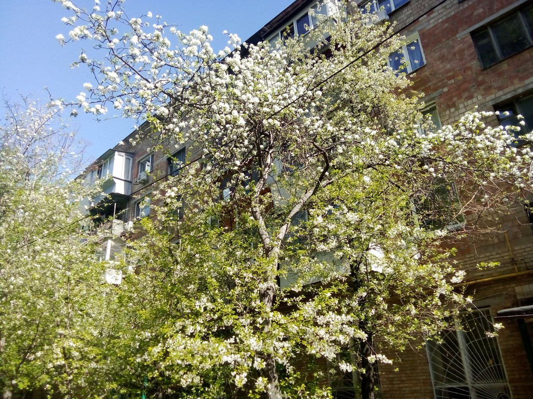 photo_2025-04-22 9.55.36 пп