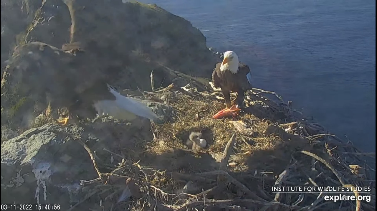 913ED43B-E807-4C17-8E64-385C530A6592