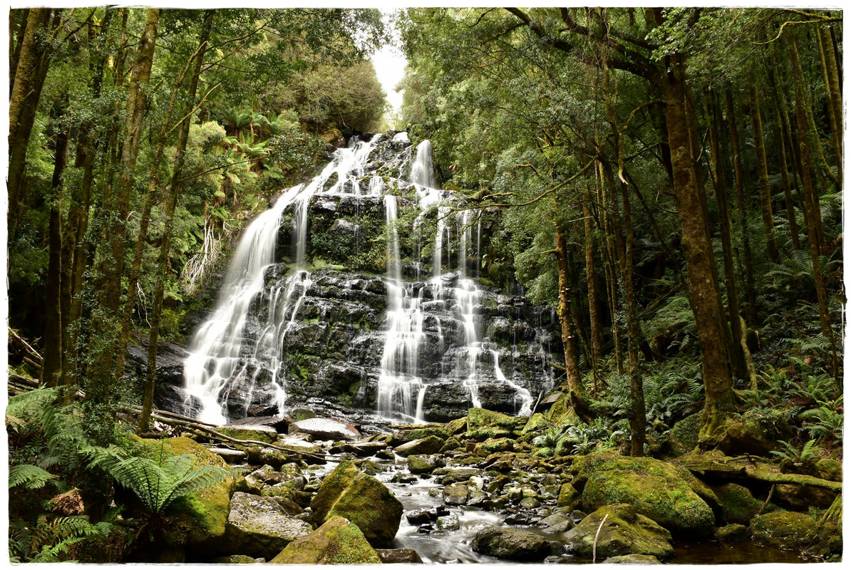 Queenstown & Nelson Falls - Australia (II): Recorriendo Tasmania (9)