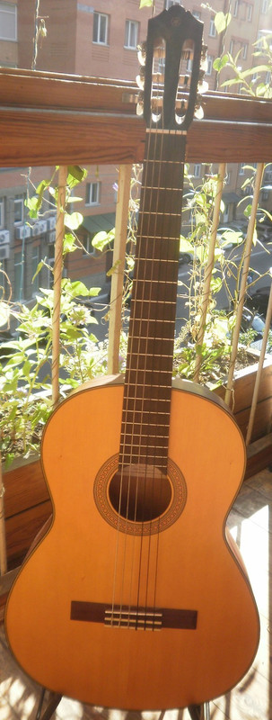cg1