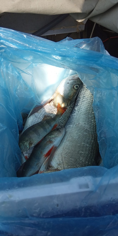 995F7BD0-14FF-4CAA-AC09-BC535A254AB7