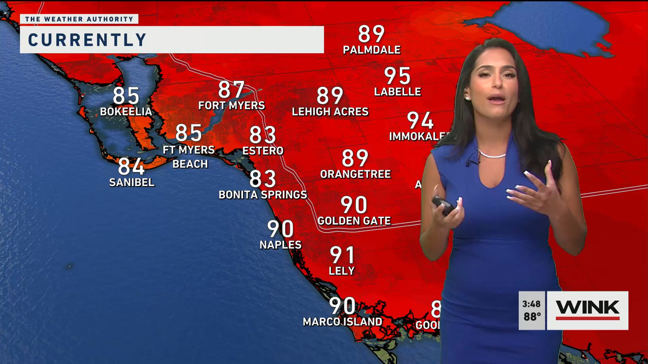 05.24 - 20.00.00 - WINK News at 3 00 p.m._001.ts_snapshot_00.23.576
