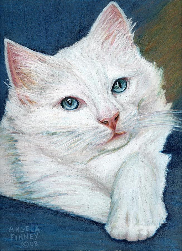 1-white-kitten-angela-finney
