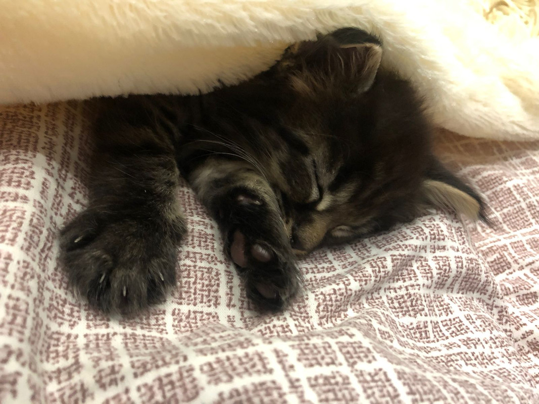 403F21BA-EA33-435D-972C-3BBEF2912FE6