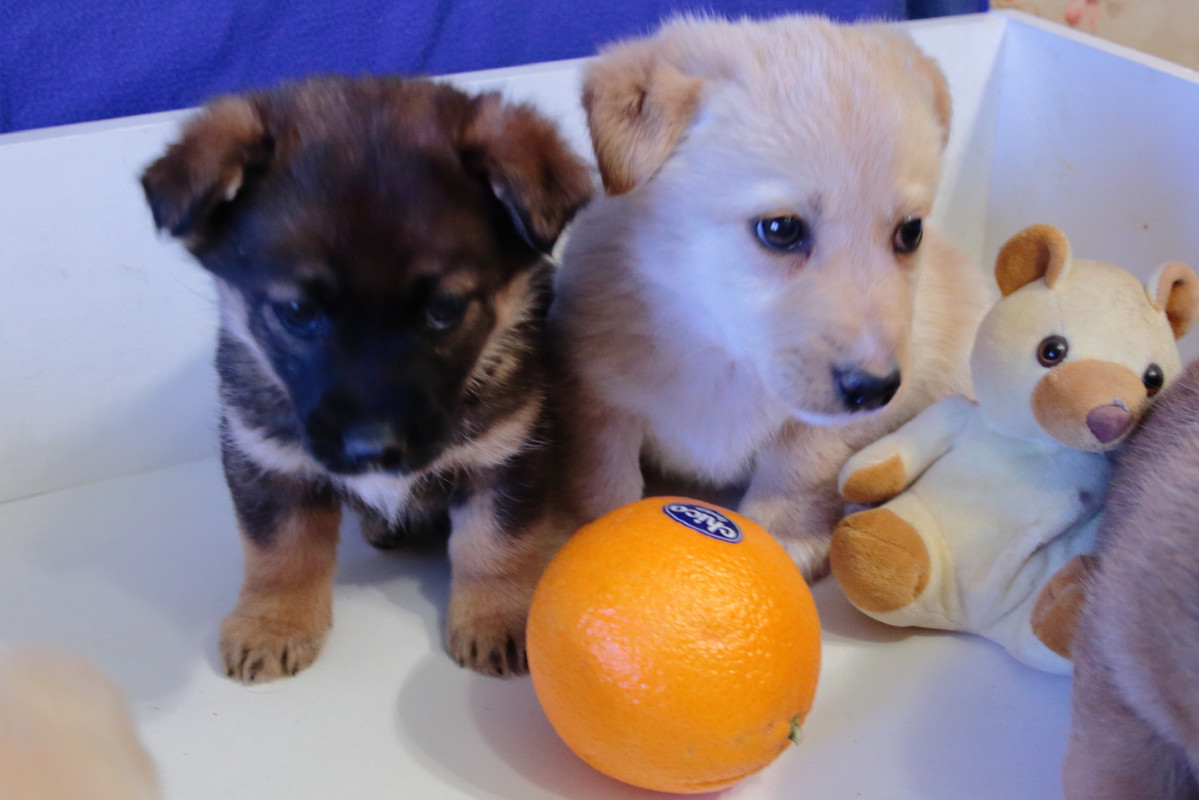 E319D089-1F0F-4A58-8727-9EB0A21F15F7