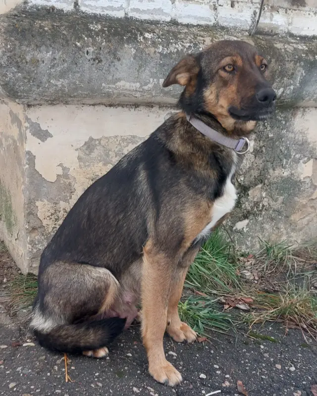 IMG_20221127_160720_572