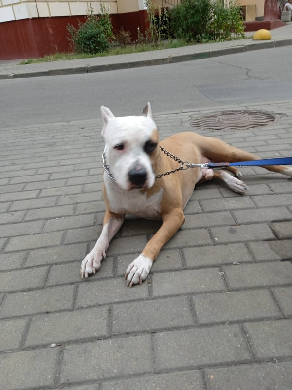 7EF9A759-B1C2-4839-8775-22237B4472A1