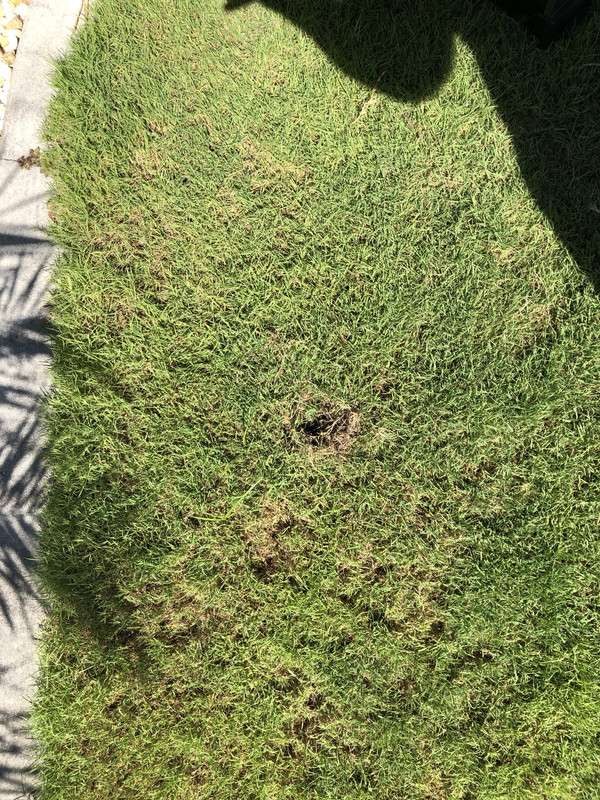 D17DD12E-1D40-4AF4-9468-0E18D72703DE