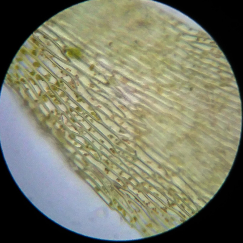 IMG 20250617 111245 HDR