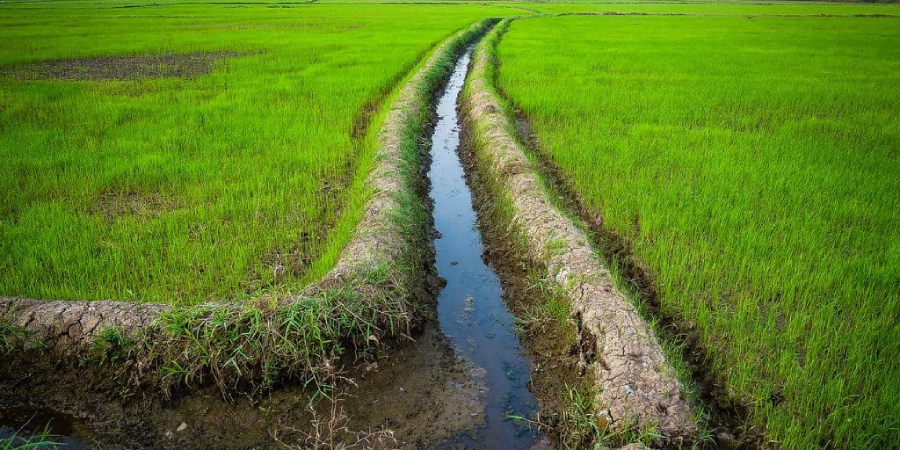Water Conservation A rescuer for Drought- Affected Areas