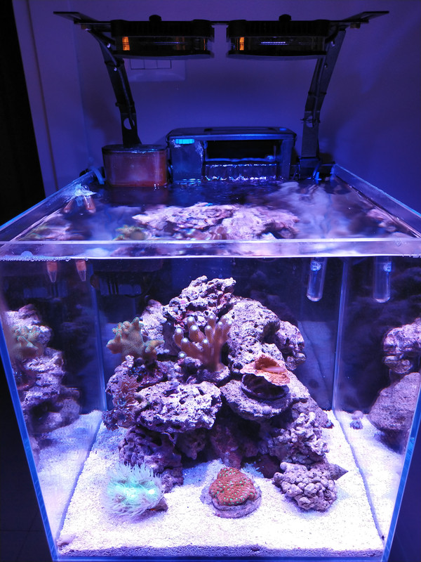 A0FC08C8-A56A-4288-8E48-1BC5C51AFE75