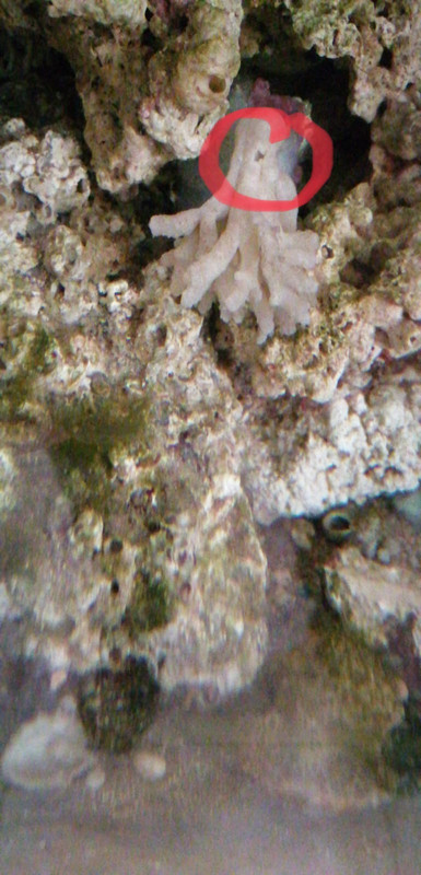 46CD1602-49AC-4A6E-A3F3-FAB6C50CCE0C