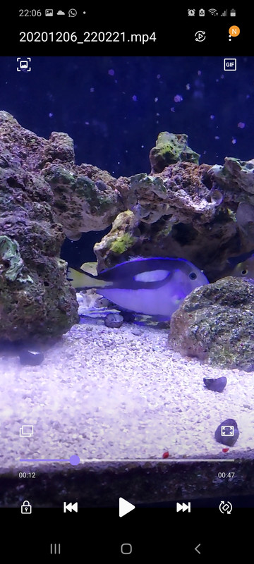 Screenshot_20201206-220617_Video Player