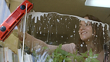 glider-magnetic-window-cleaner-2766-large.gif