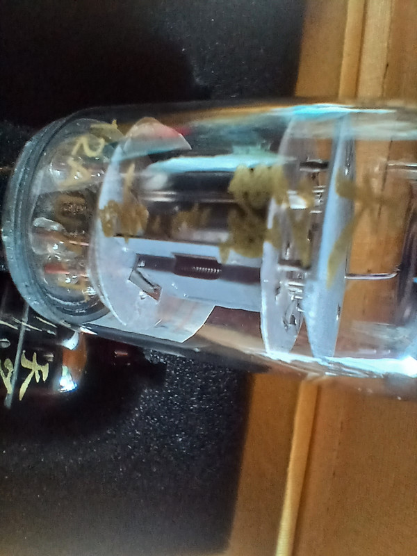 [Bild: 20260605-143417.jpg]