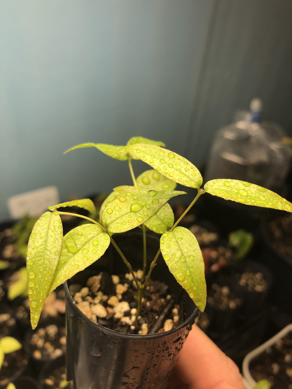 73C745DD-36CD-46DB-84DA-0D91FD4A3995