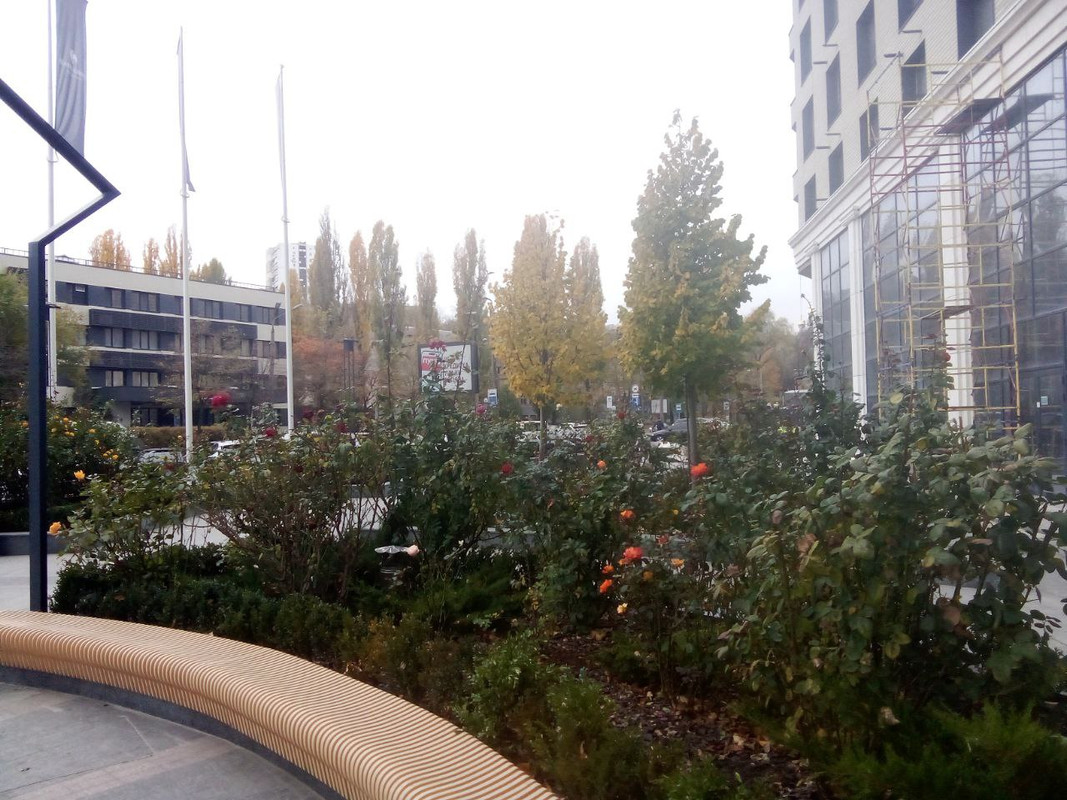 photo_2024-11-12 4.59.21 пп