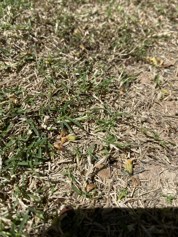 31583001-8017-4811-9941-8BB0BC6B122B