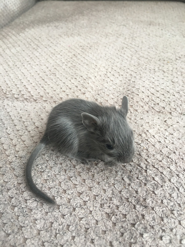 3239247B-C20B-4B25-9263-2C9941528391