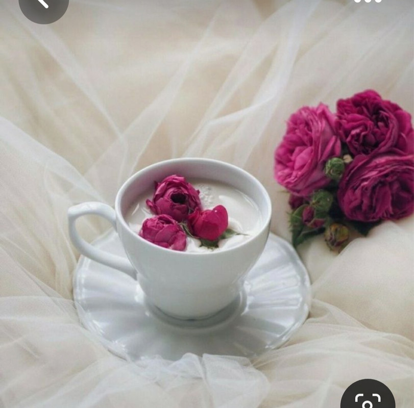 Screenshot_20230622_000302_Pinterest