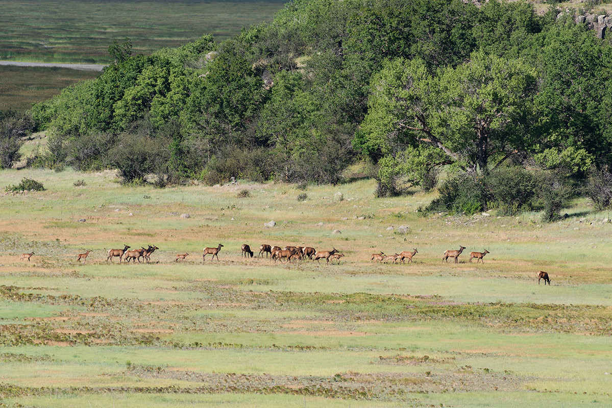 Ed1400MormonLake7-2-19_0107