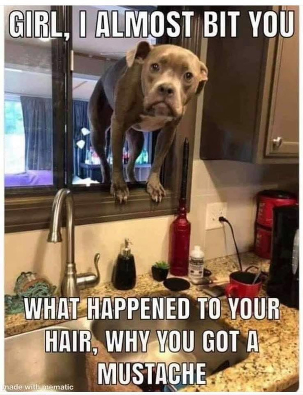 3E00300C-D7EF-4E5B-BA6A-F4A326FDC4A5