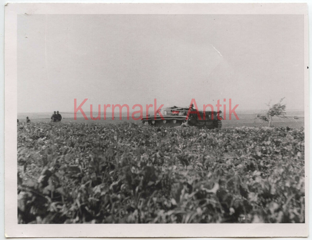 Foto Wehrmacht Russland Ukraine Charkow Kalmücken Steppe Stug St