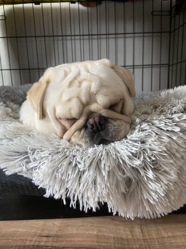 4BE88C1D-E491-4DEC-A7A0-6B144B1D5761