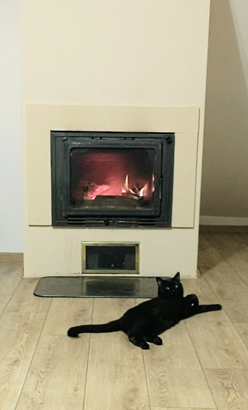 IMG_20251017_183011087~2