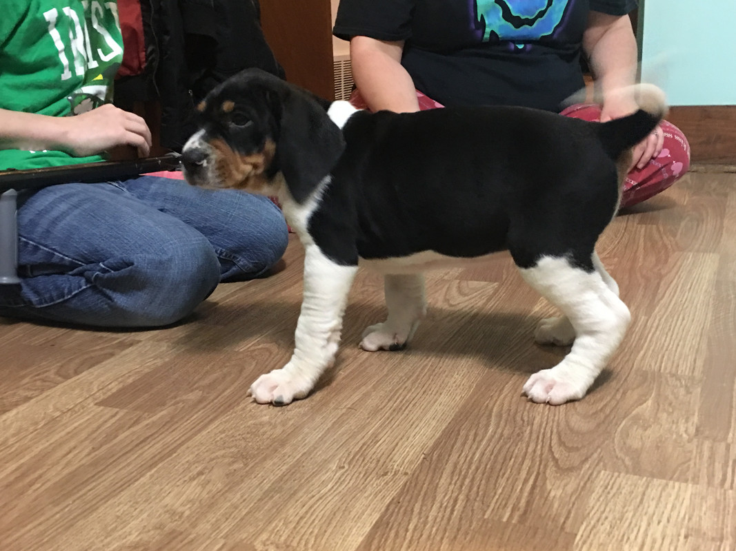 C0EC0DA6-E5E6-4ADE-BC47-58DE63161B1A