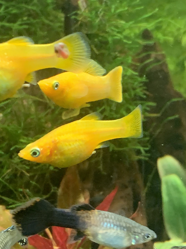 96DA4EA3-DA96-47BE-814C-7525D1247957