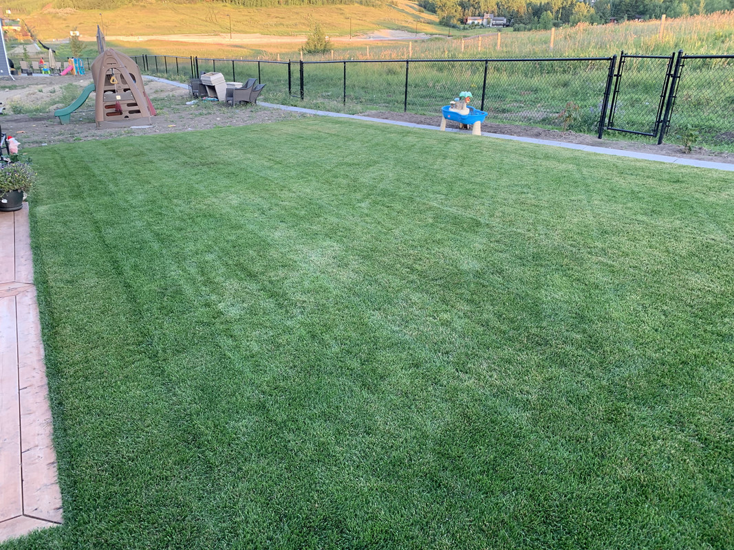 0803563E-0209-489B-AD05-92A08994AD4D