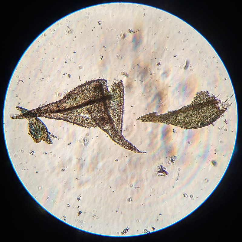 IMG 20250615 222156 HDR