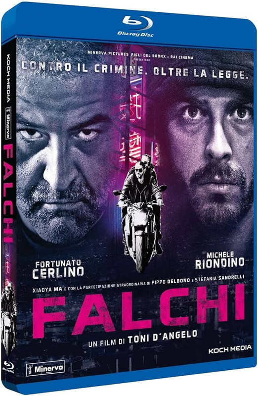 81XSCnXDSLL._AC_UF894,1000_QL80_