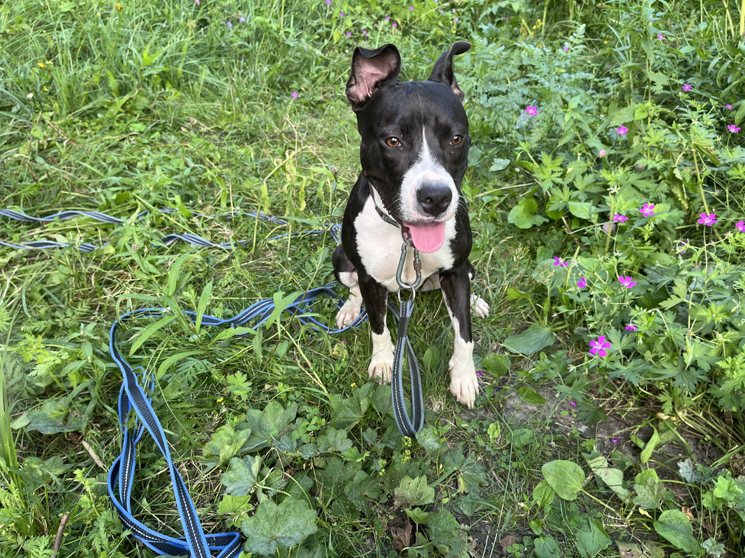 AE199DD4-6133-4F18-A5AA-C446C2F38641