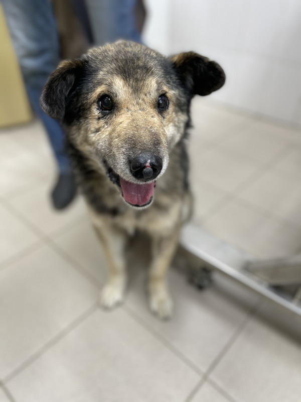 05274AAF-8AFC-4C68-8BD2-B40BF4CFAEBE