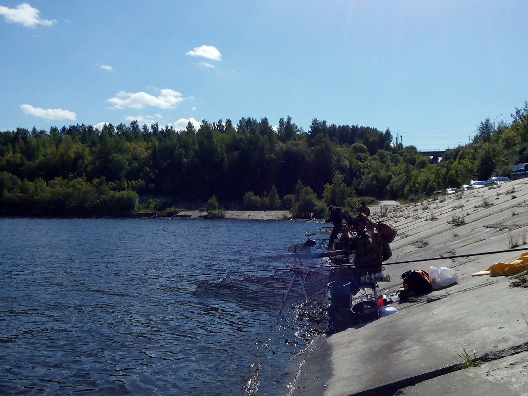 Камский фидер-2 2015 08