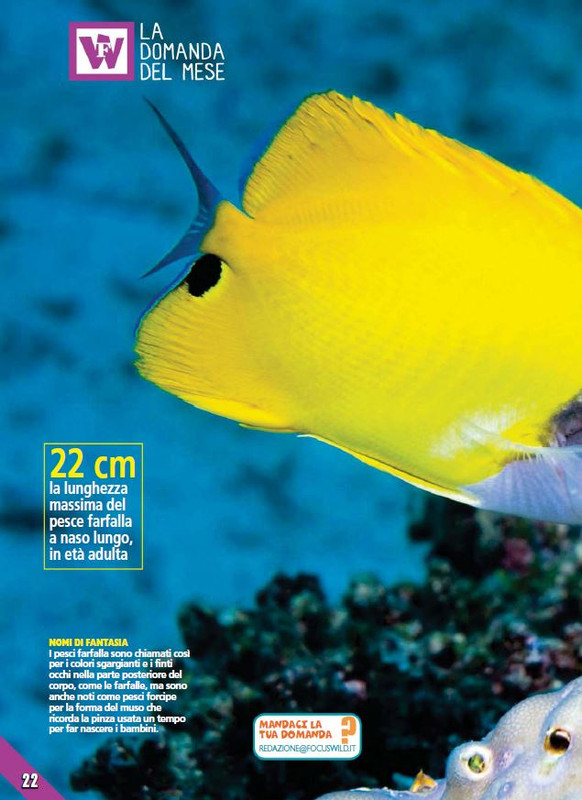 Foc Wil - Giu 2023 (3)