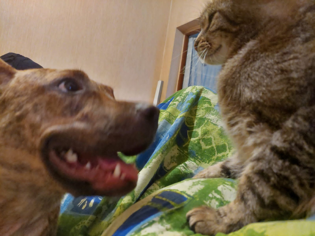 F5F2831A-E9BE-49E4-B706-79759A6092B0