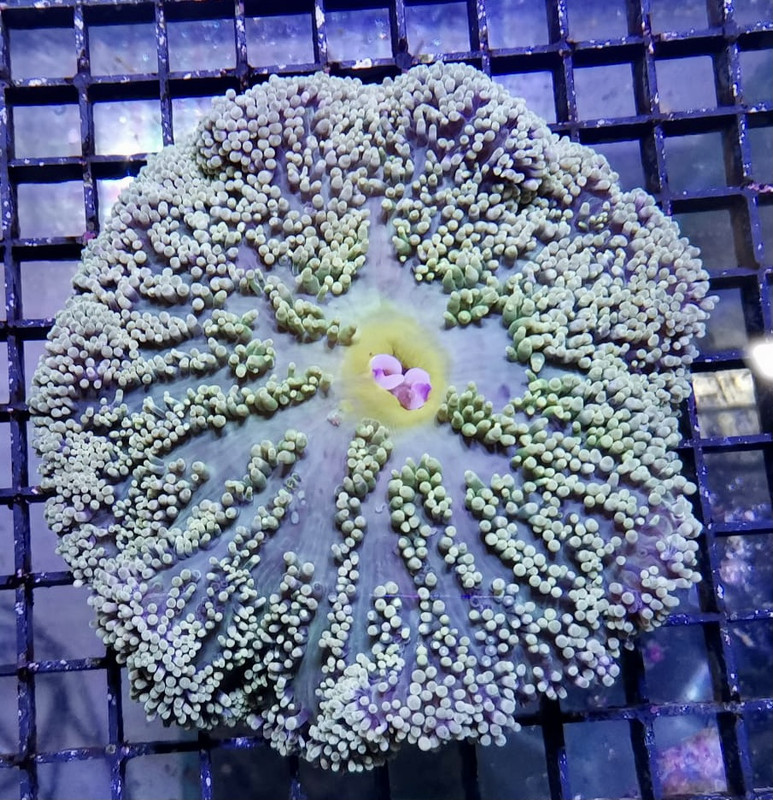 FF5E455D-F2D4-4661-B6C6-876554668D98