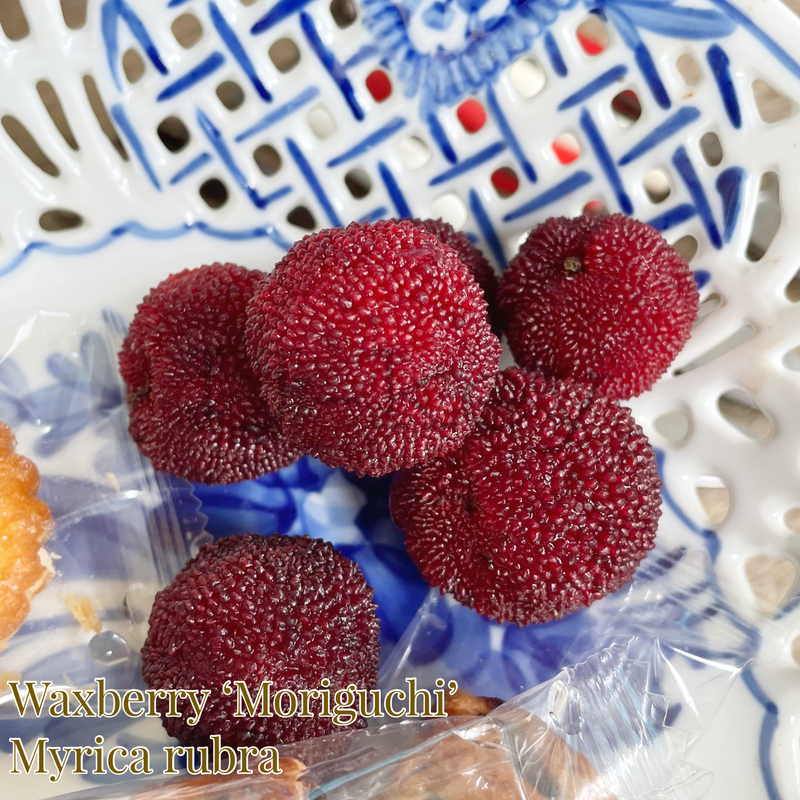 9FD961EB-2D8C-4AE2-B6BE-DFDB0D913A43