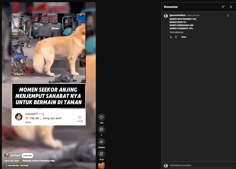 Screenshot 38