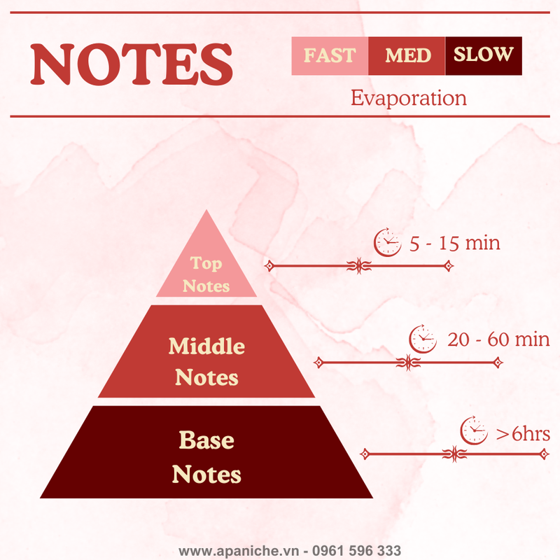 [Image: Notes-H-ng-N-c-Hoa.png]