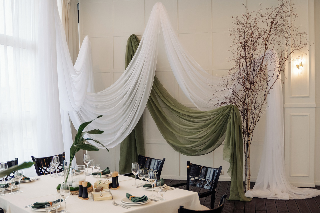 Мох и аспидистра