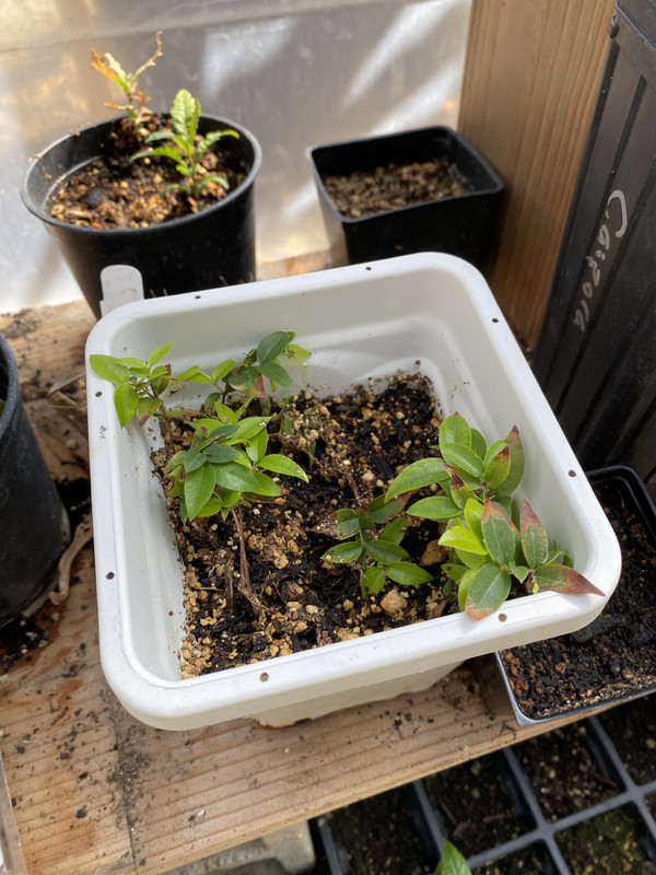 6FF6F25D-3437-4CE7-B66F-20405736332A